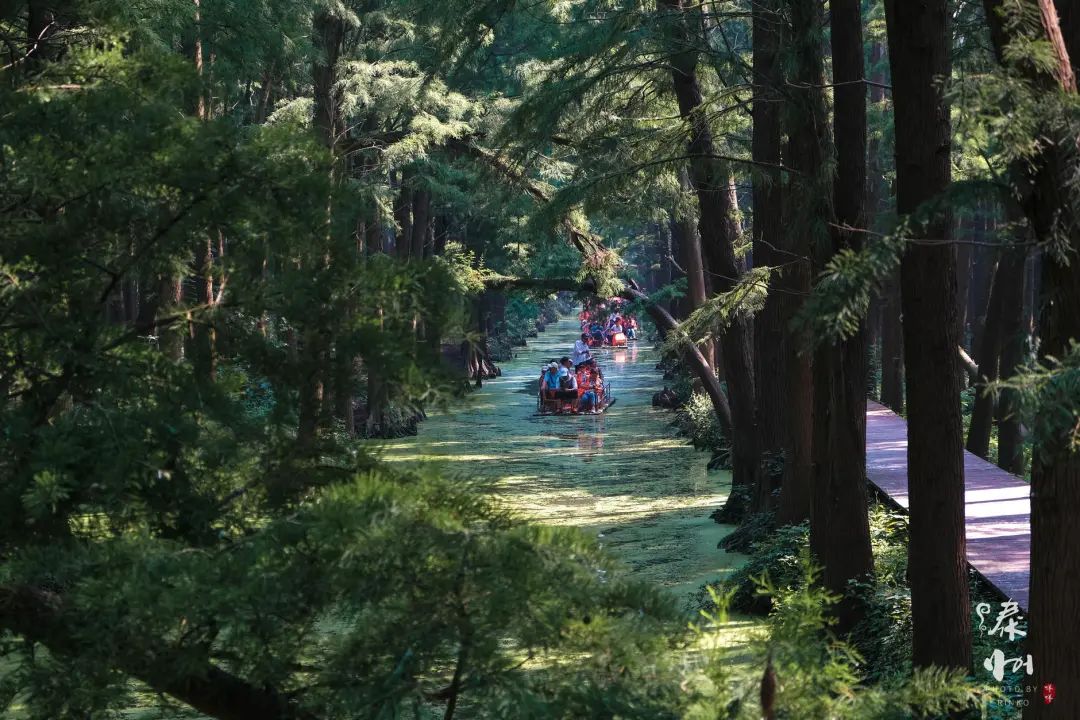 扬州值得推荐的早茶,广东早茶和扬州早茶真的没法比