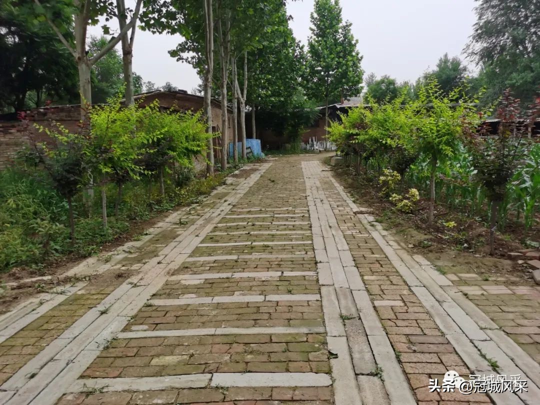 贾镇艾寨村,冠县艾寨