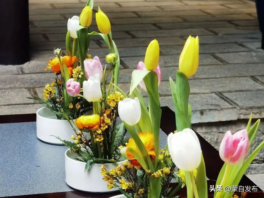 美食、乐队、集市...超多活动精彩来袭！这个“五一”玩转蒙自