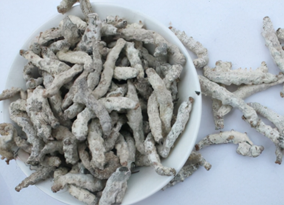 名方五味中药横扫一切息肉,息肉四味药