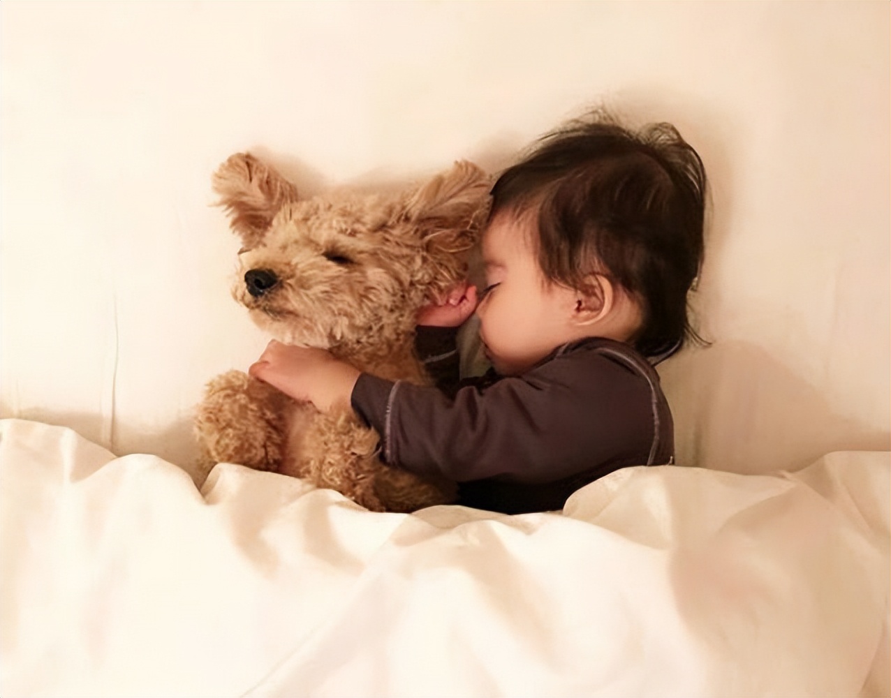 泰迪频繁“舔人”，是想告诉你这6件事，别再忽略了