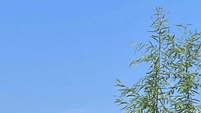 小孩子的睡颜,小儿睡觉的样子