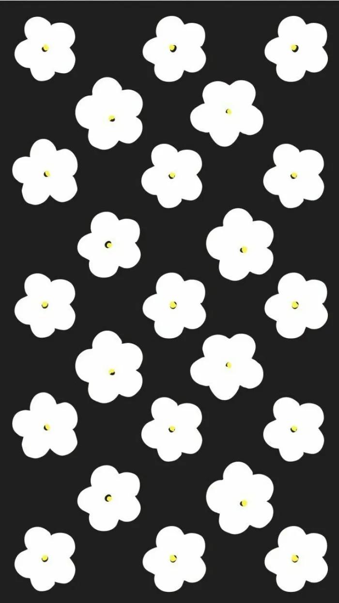 黑白花朵壁纸超清,全屏花朵壁纸无水印黑白