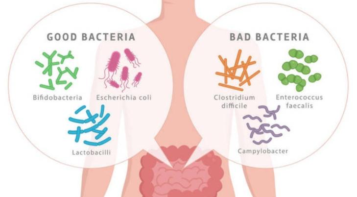 人体抵御细菌感染的第一道防线,人体卫士大战细菌