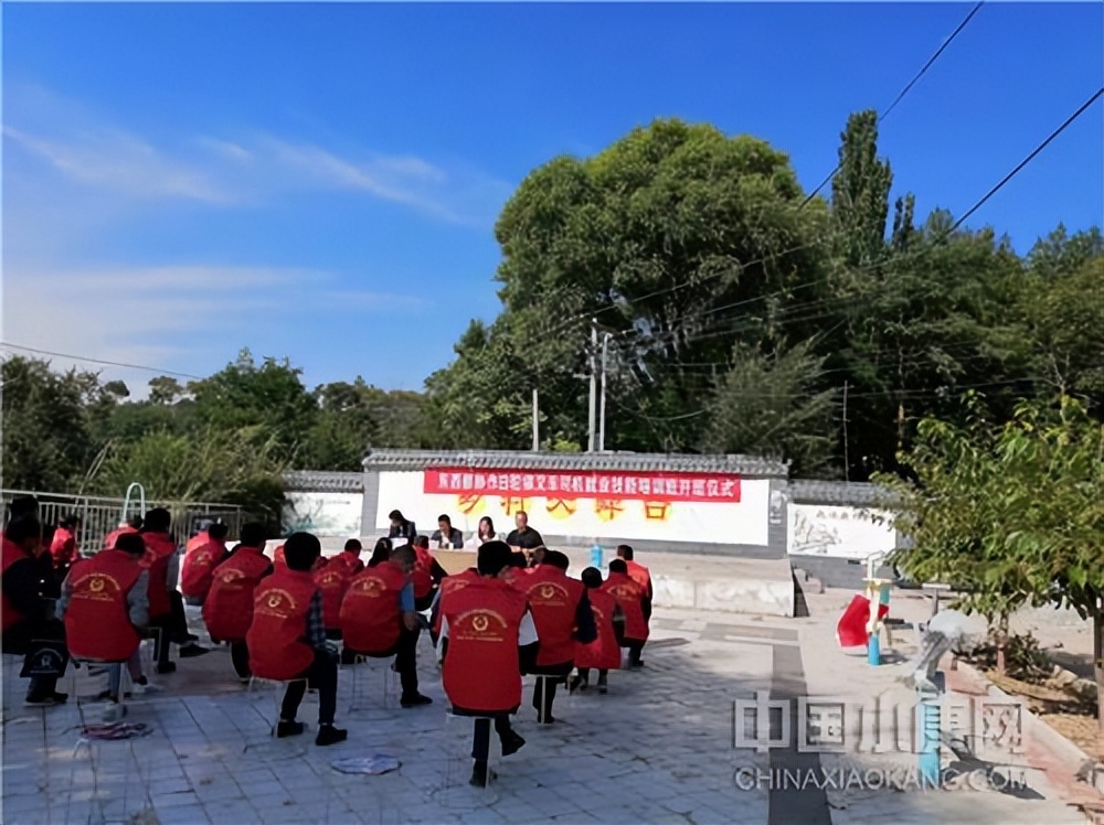 小村大事,小村大事免费观看全集