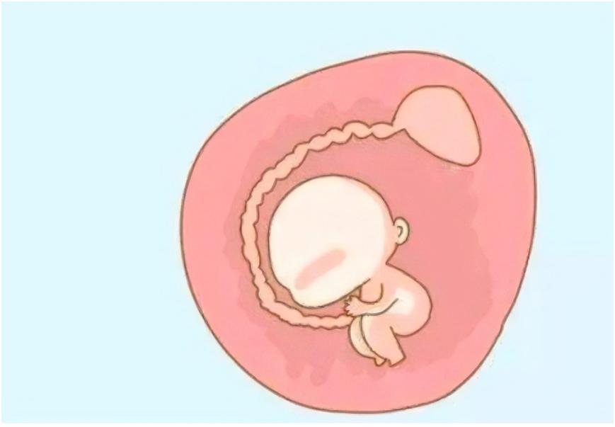 没有四肢的人中国,没有四肢人可以活吗