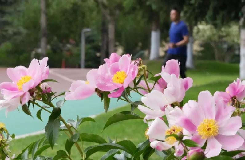 应对过敏,最快解救过敏方法