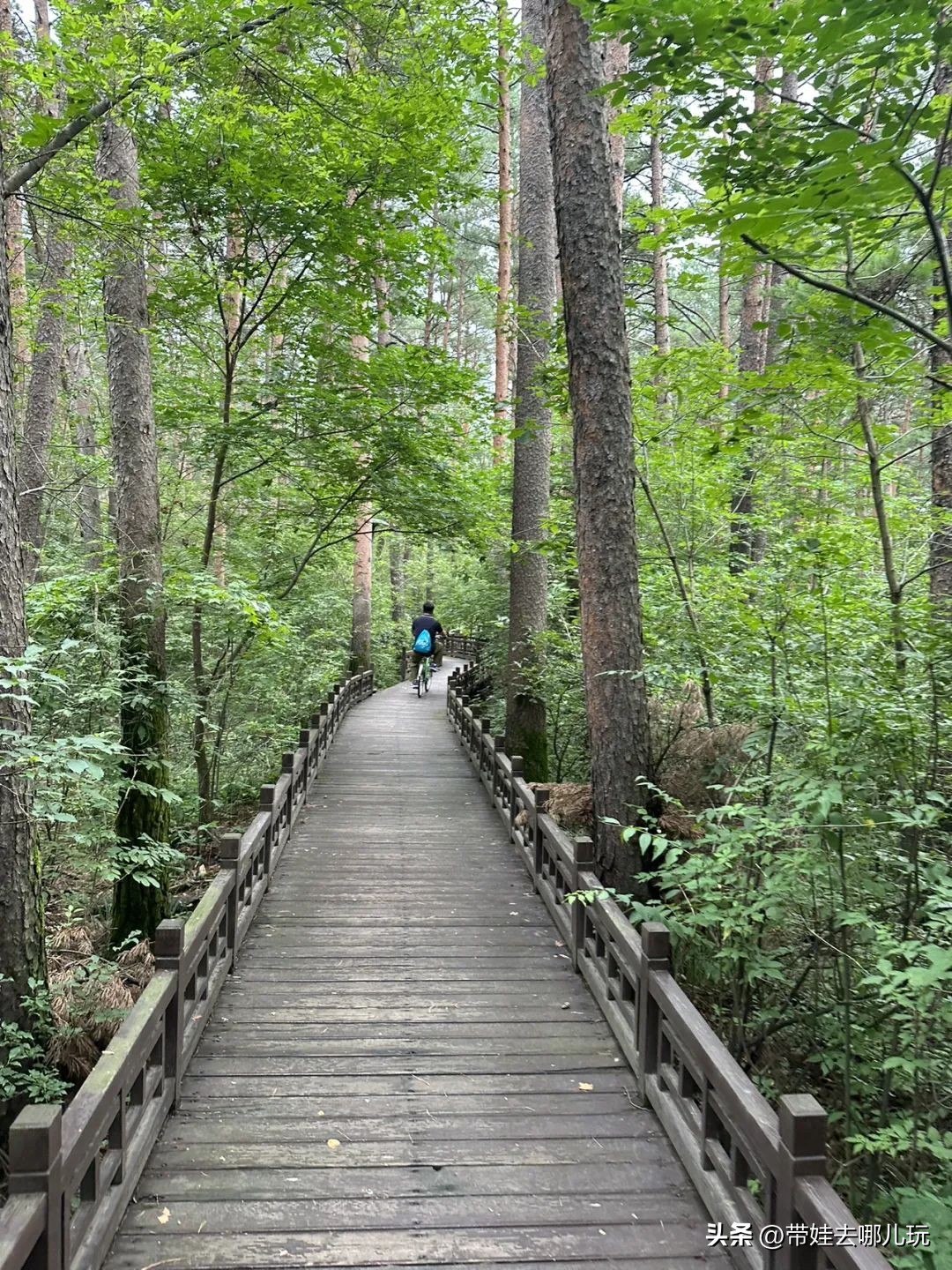长白山二道白河旅游攻略7月游,自驾二道白河长白山旅游攻略