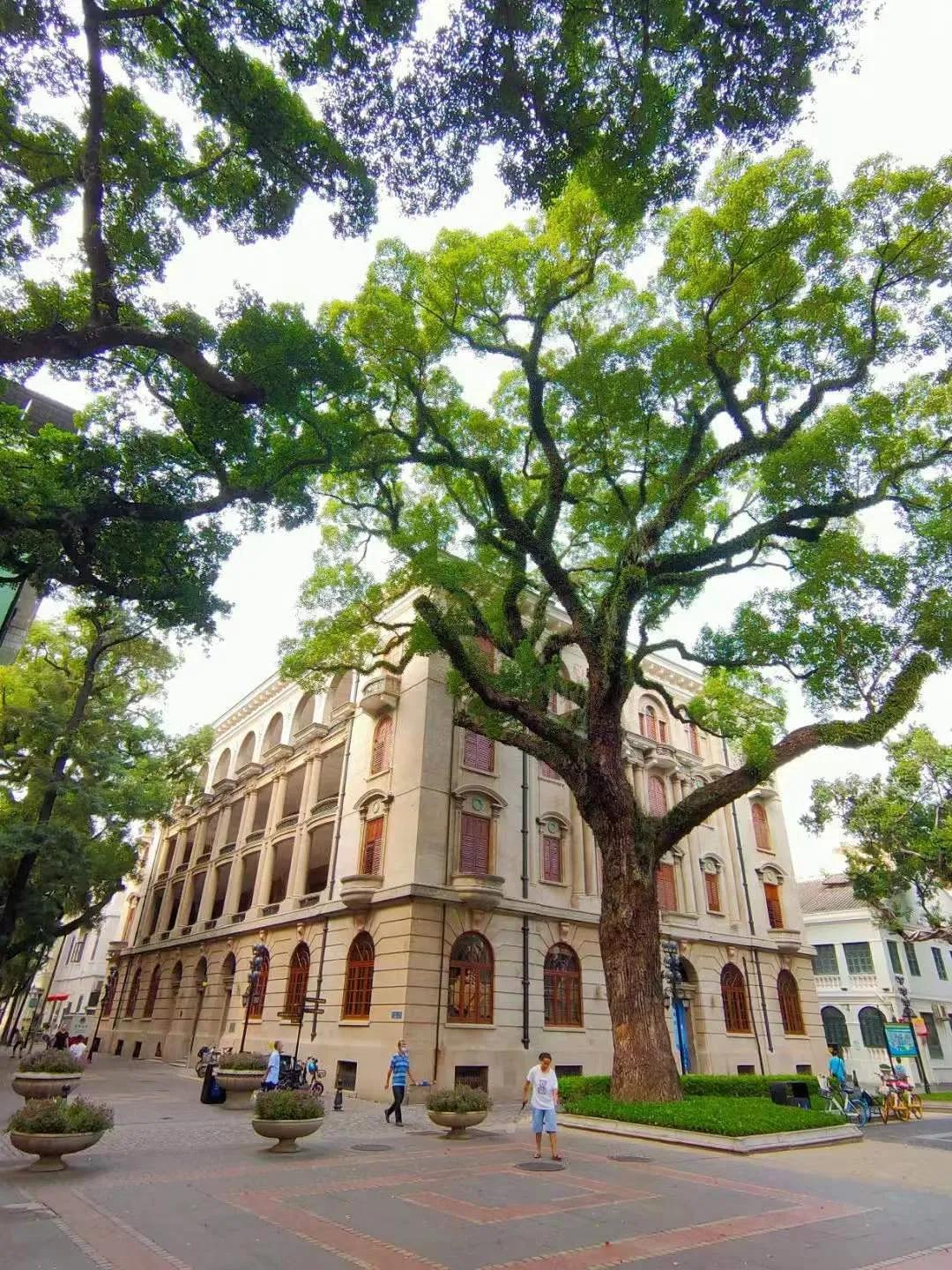 2021广州打卡必去的地方,广州必打卡的十个免费景点