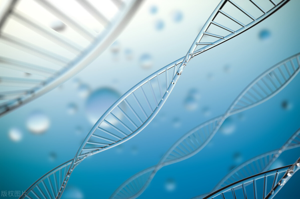 2024年小微企业如何渡过难关,2023年中国小微企业经营生存现状