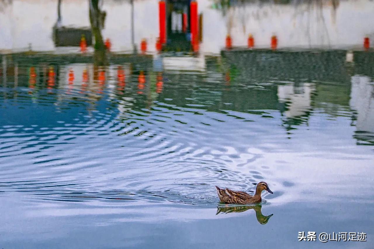 暑期自驾游切勿疲劳驾驶,来安徽旅游必打卡的风景区