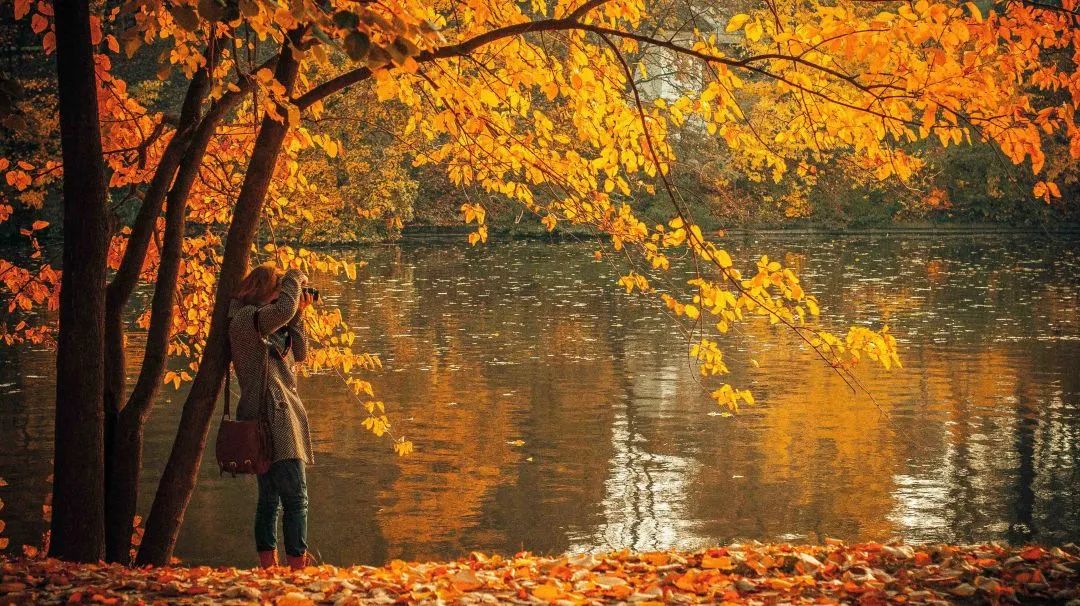 川西云南深度自驾游最佳攻略,滇东南西南大环线旅游