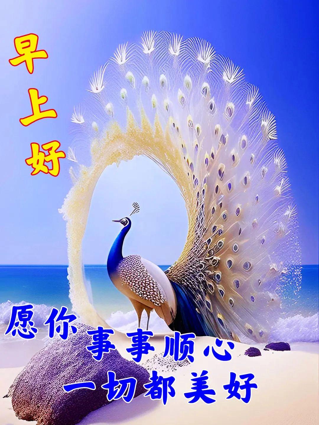 早安问候简短关心语,早安关心短信最温馨的话语