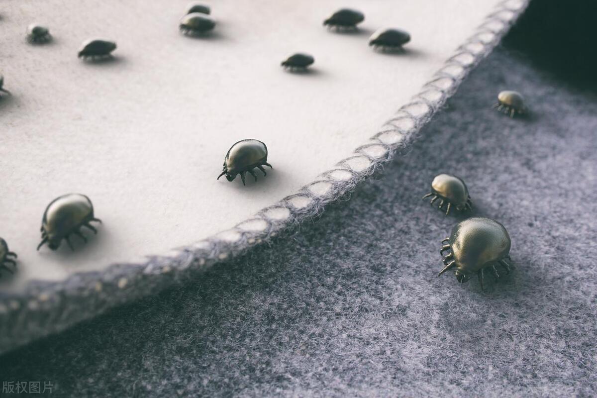 夏天床垫怎样降温,防螨床垫如何防螨