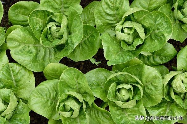 家有余粮，遇事不慌！收好10种生活必要的物资，这3件事也做起来