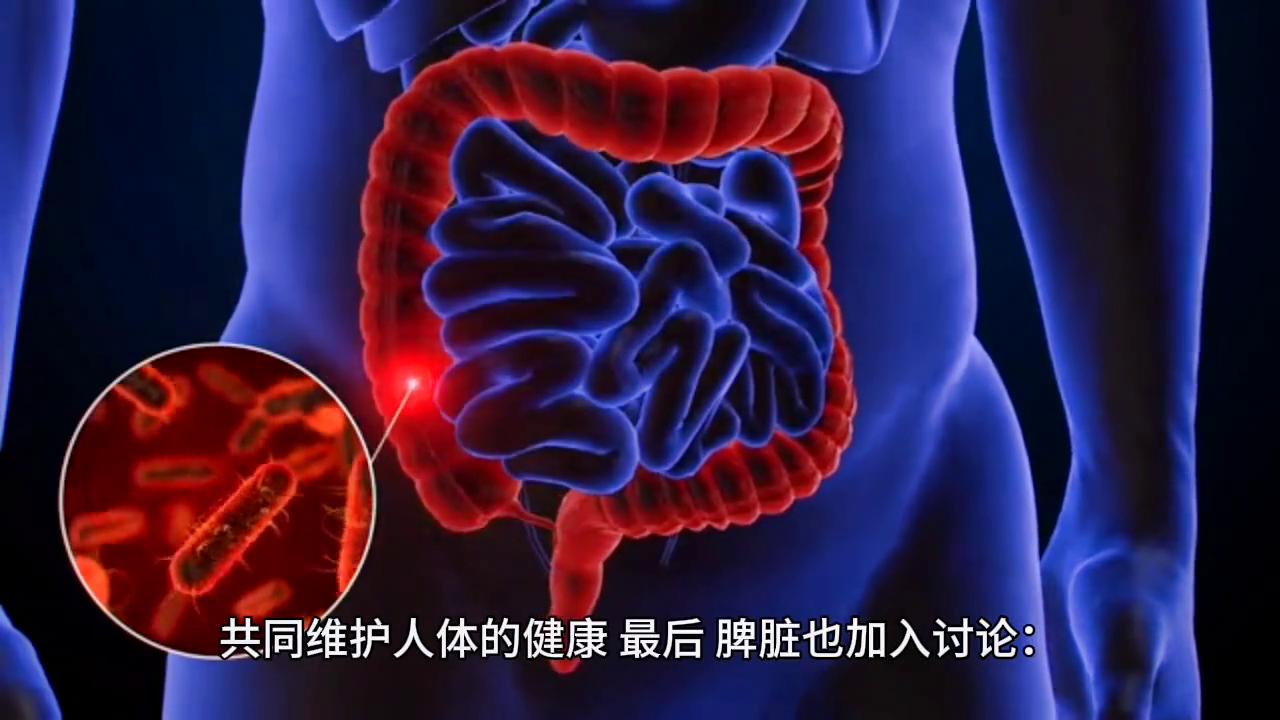 五脏六腑开了一个会：肝脏老是说我不听话，其实我是为了保护你