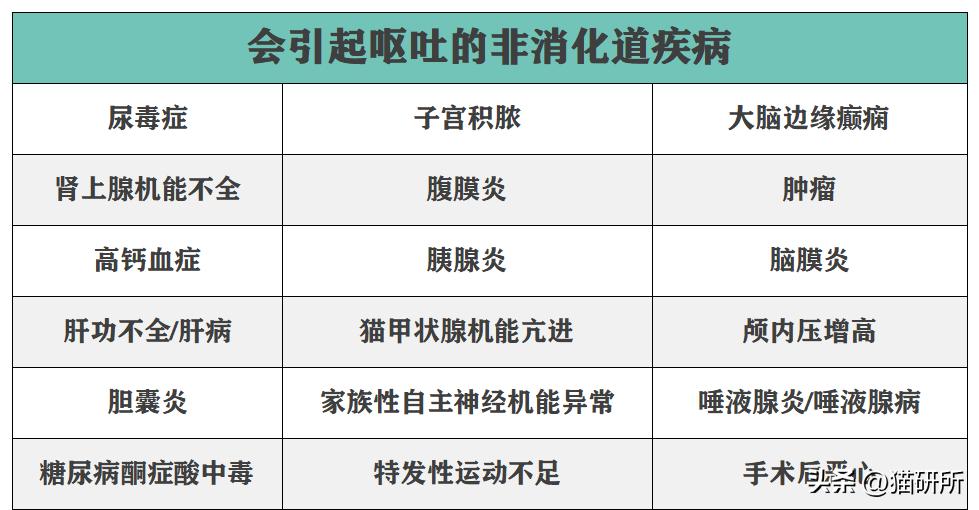 猫咪呕吐物判断表图解,怎么判断猫咪呕吐物是不是血