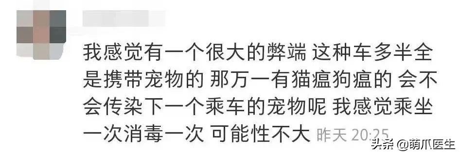 带猫网约车,带猫能打到网约车吗