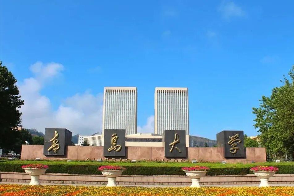 2024青岛大学艺术考研全解析