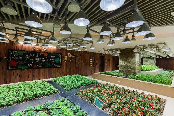 返乡创业90后四子王旗新农人,新农人80后返乡创业政策