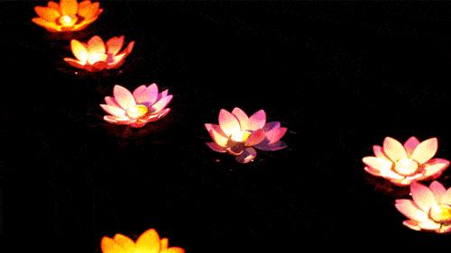 打卡超大萌兔、放水灯……纺织谷上元市吉超多惊喜等你来发现！