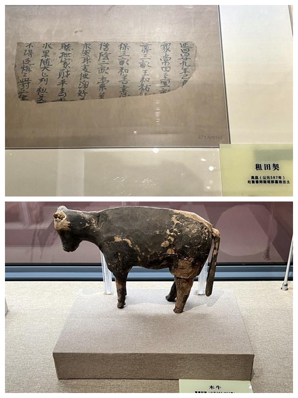 乌鲁木齐博物馆参观心得体会文章,乌鲁木齐博物馆红色故事