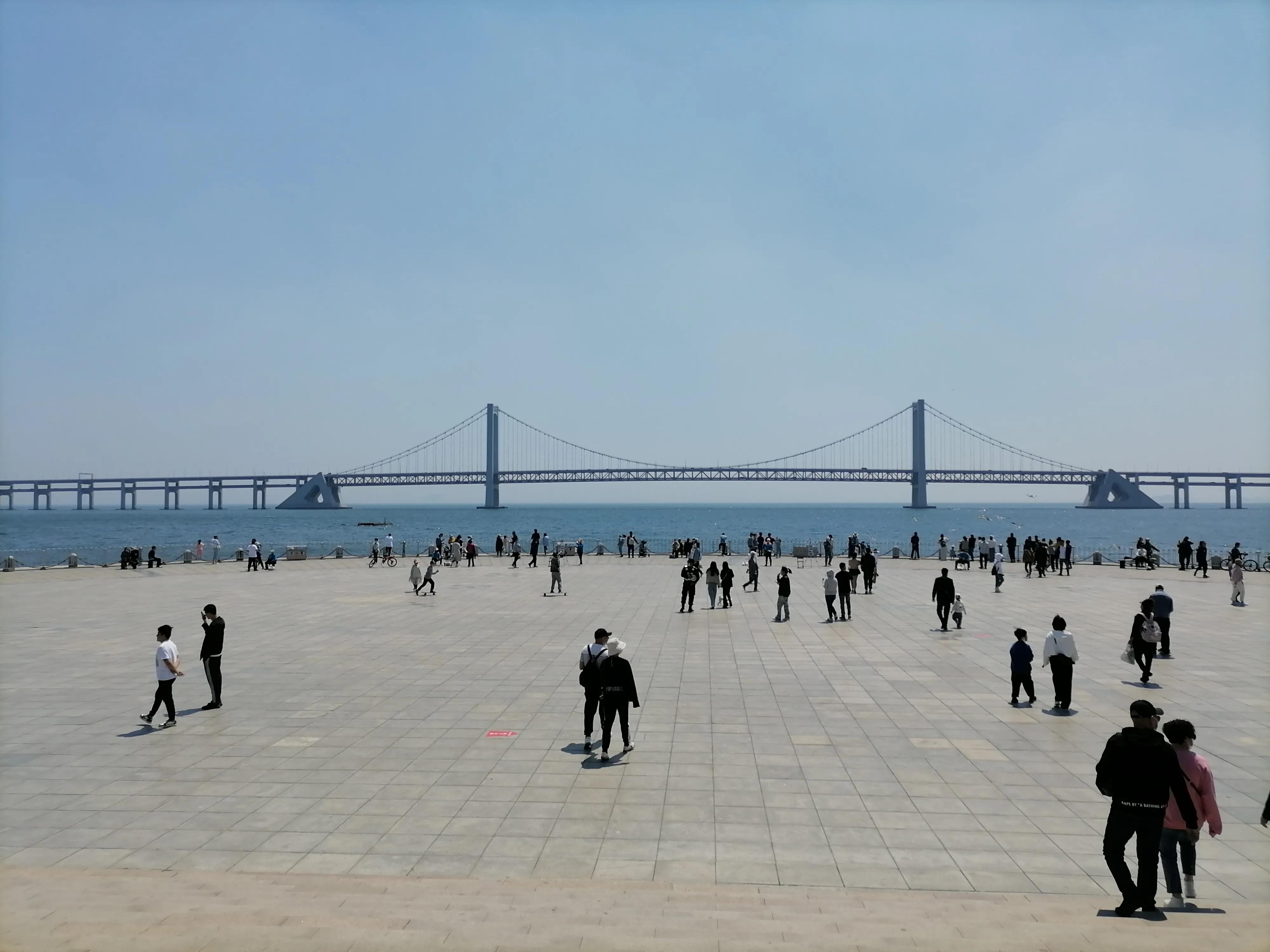 到大连星海广场应该玩点什么,大连兴工街到甘井子万达坐什么车