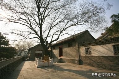 庭院中种什么树最好,庭院栽什么树最旺宅