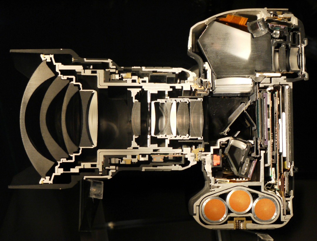 60样东西，切成一半，让你看得一清二楚