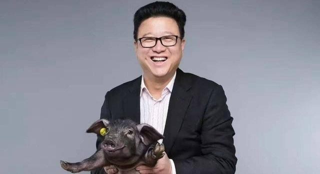 网易老总丁磊养猪,网易创始人兼ceo丁磊爱好养猪