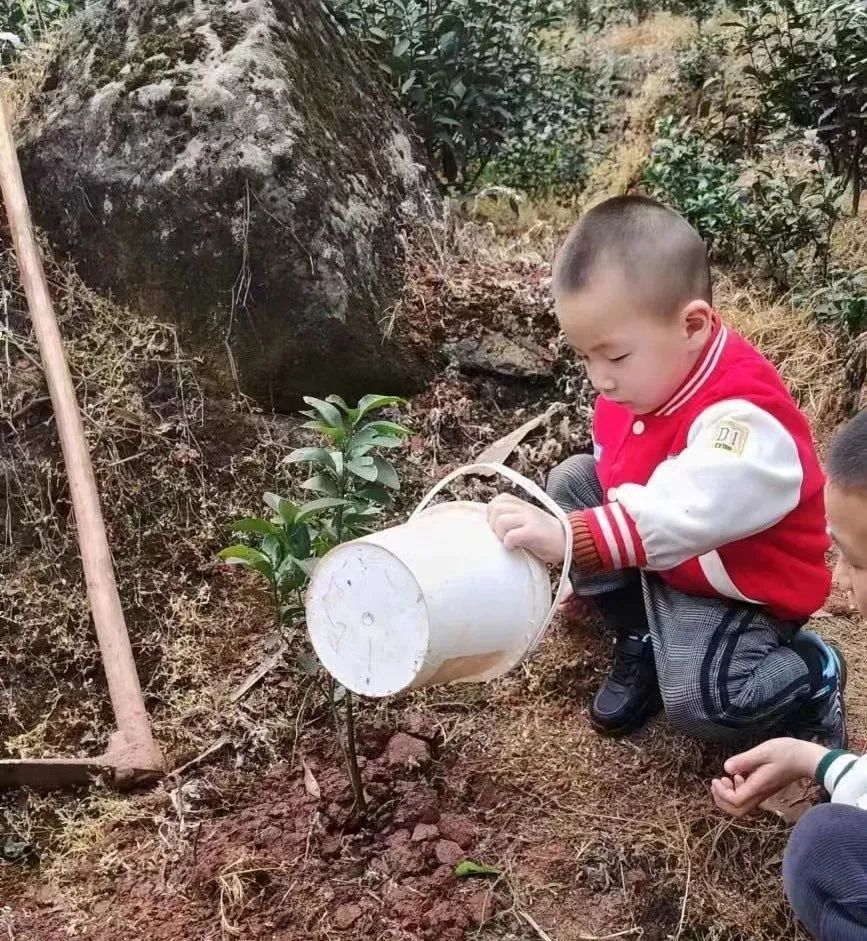 洪雅县第四幼儿园叫什么名字,洪雅第四幼儿园在哪里