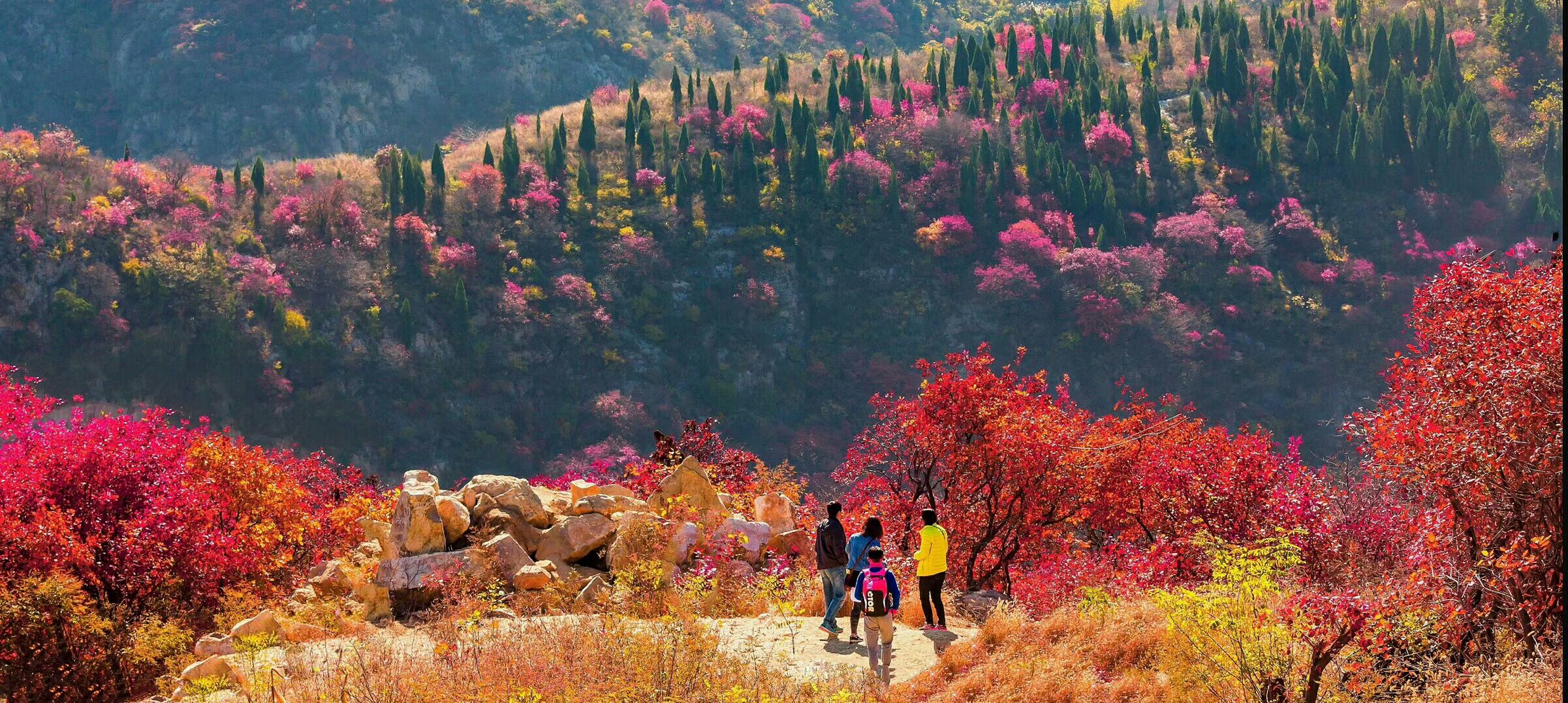 来淄博可以尝到美食烧烤赏到美景,来淄博吃的不仅仅是烧烤