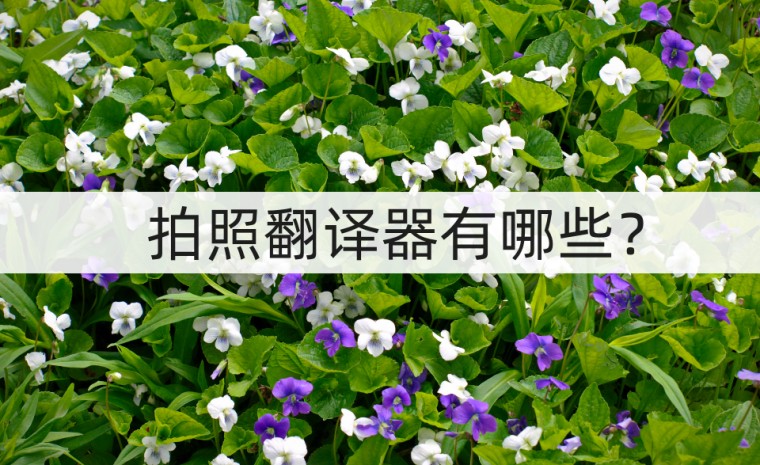 日语翻译器在线拍照翻译,翻译器拍照扫一扫免费版