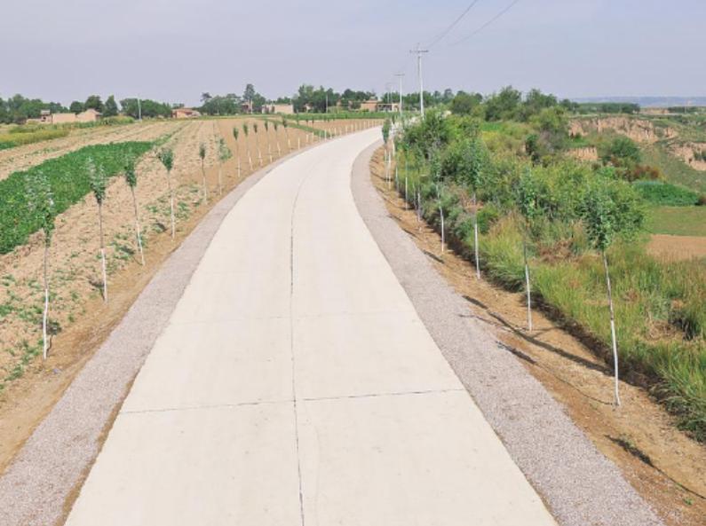 孤儿杨六斤最近情况,广西孤儿杨六斤现状视频