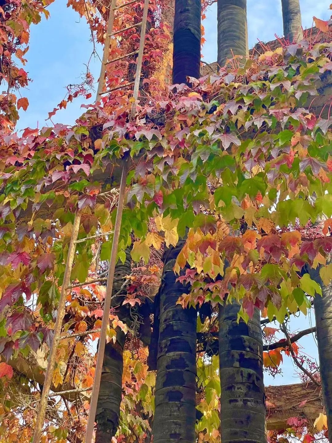 青岛纺织谷旅游攻略,青岛最近纺织谷拍什么