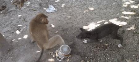 姑娘看起来外表美丽，其实裤袜已经掉到大腿根了！场面一度很尴尬