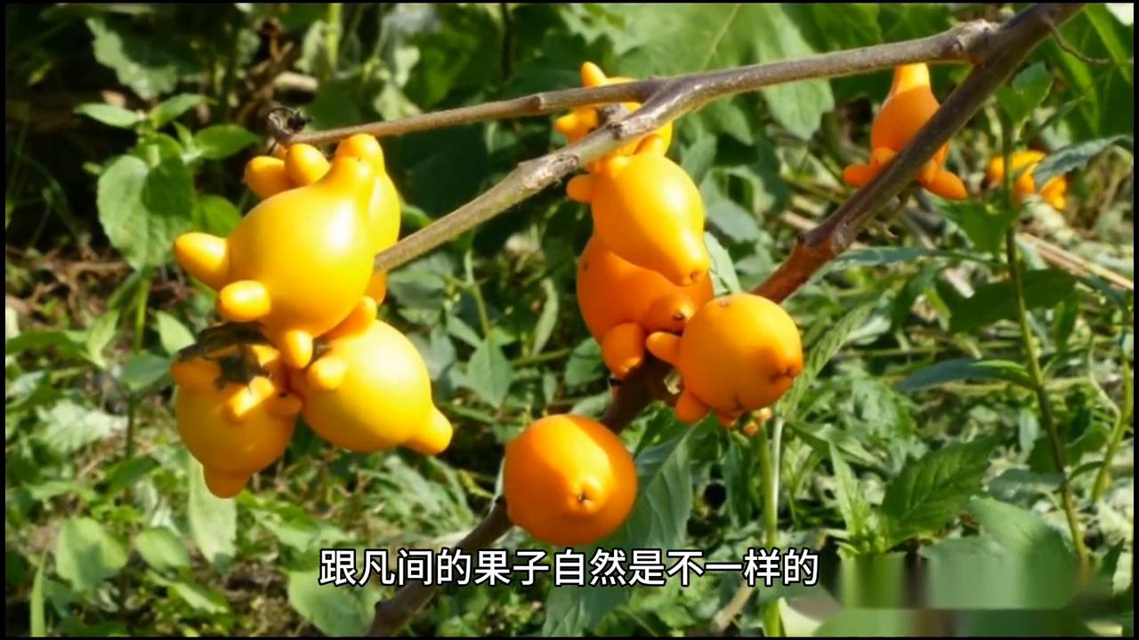 第5章这才是大变活人啊#推文超好看小说