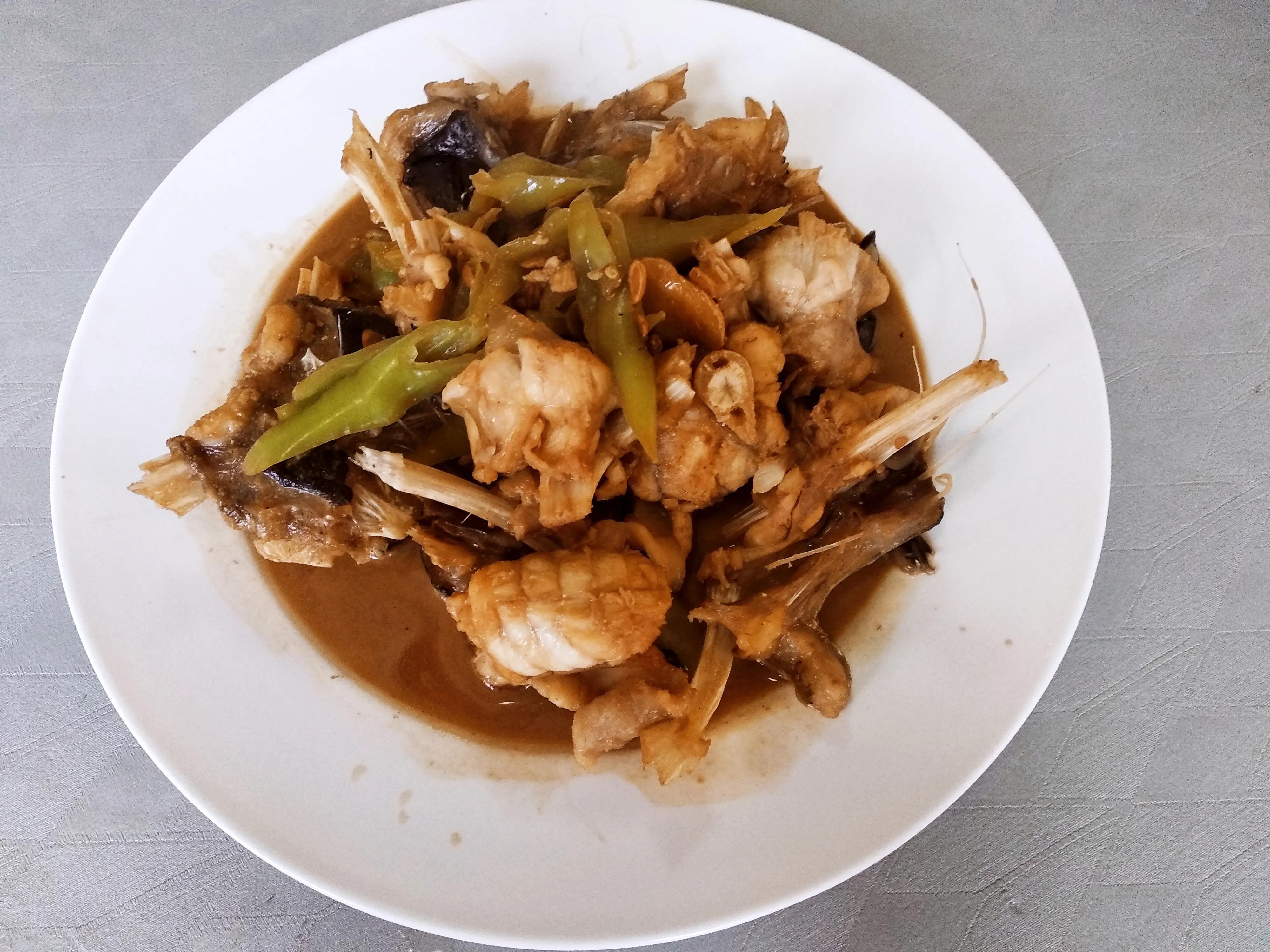 15种常见的海鱼,100种常见食用海鱼图谱