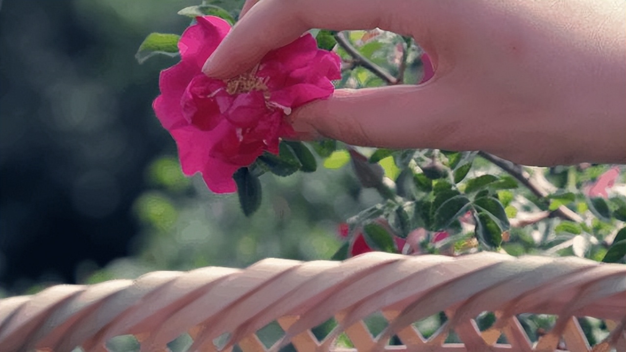 志刚哥的玫瑰颂玫瑰面膜膏产品有效果吗？亲测...