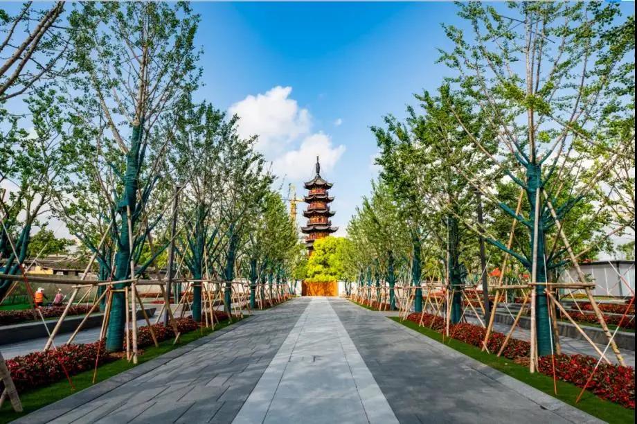 很多网红打卡,曾经那些网红打卡圣地现在怎么了