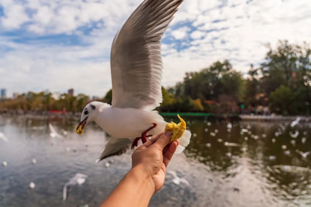 昆明一日游攻略自驾游最佳路线,昆明融创滇池后海一日游攻略