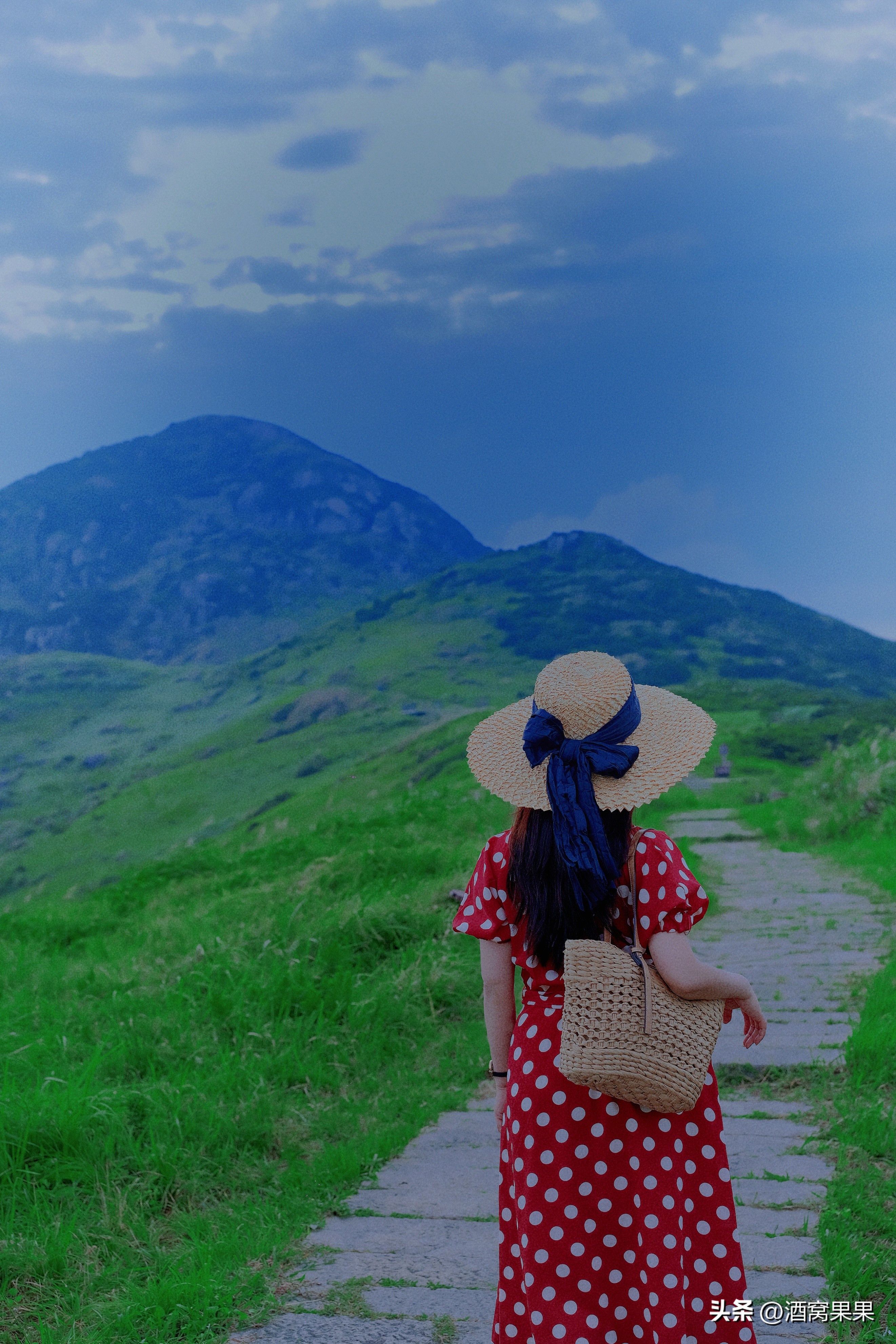 福鼎两天一夜旅游攻略,福鼎茶漫步茶园体验采茶之旅