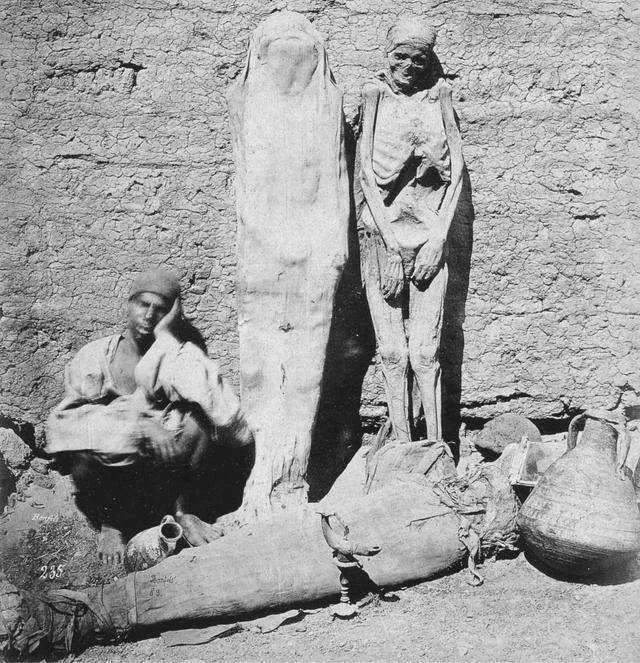 散落人间的18个冷知识,散落人间的11个冷知识