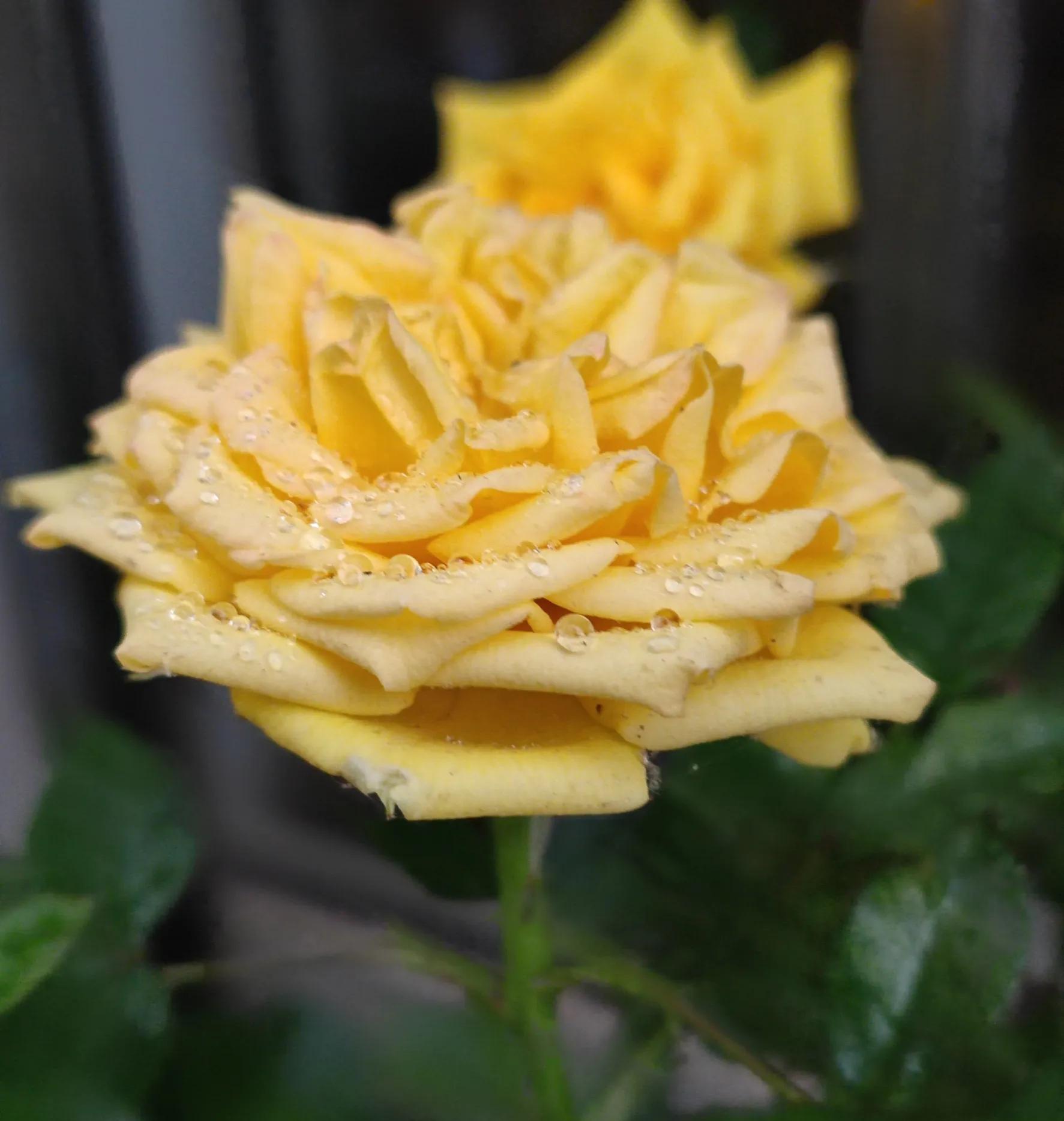 优秀作文友谊开头结尾摘抄万能,优秀作文友情类700字