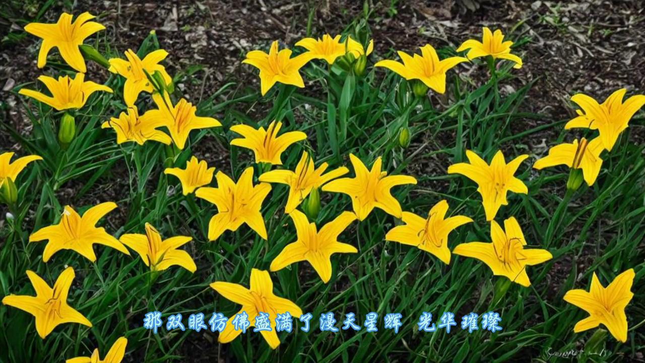 受伤严重,受伤严重的球员