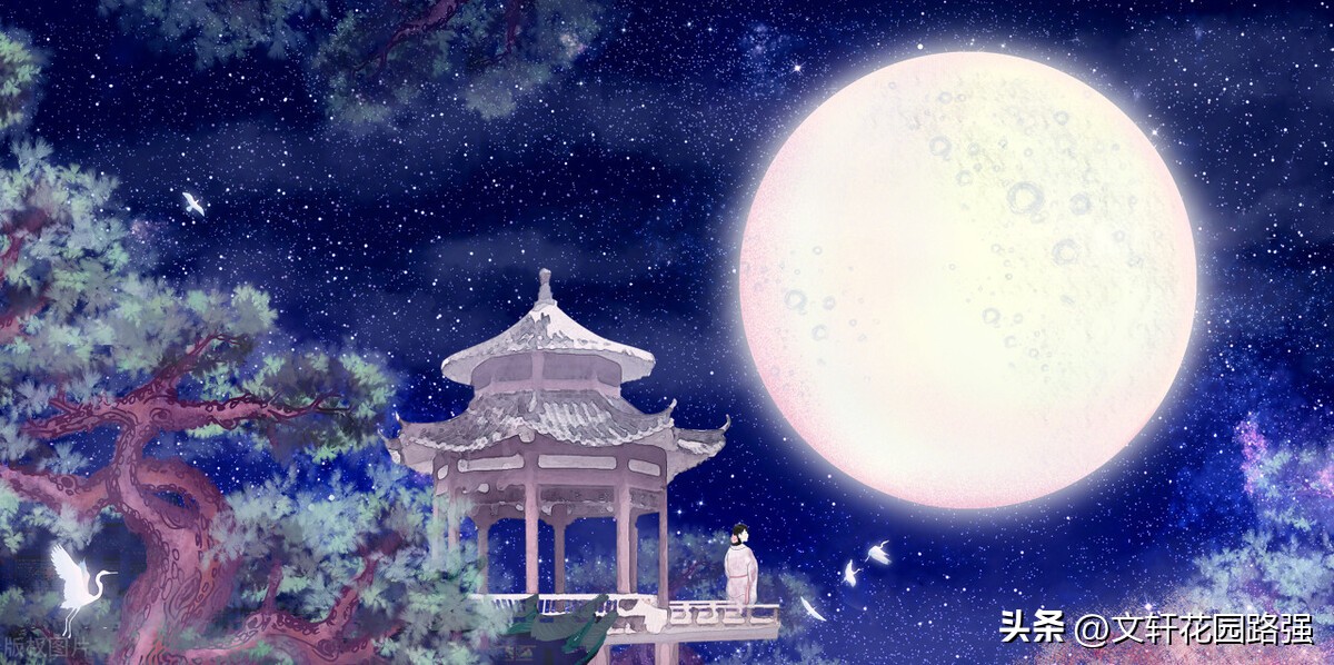 关于中秋节或带有月的古诗词,中秋月月到中秋偏皎洁赏析