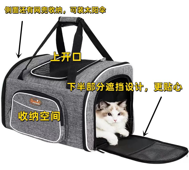 害死猫的网红饰品,盘点那些被人害死的网红猫