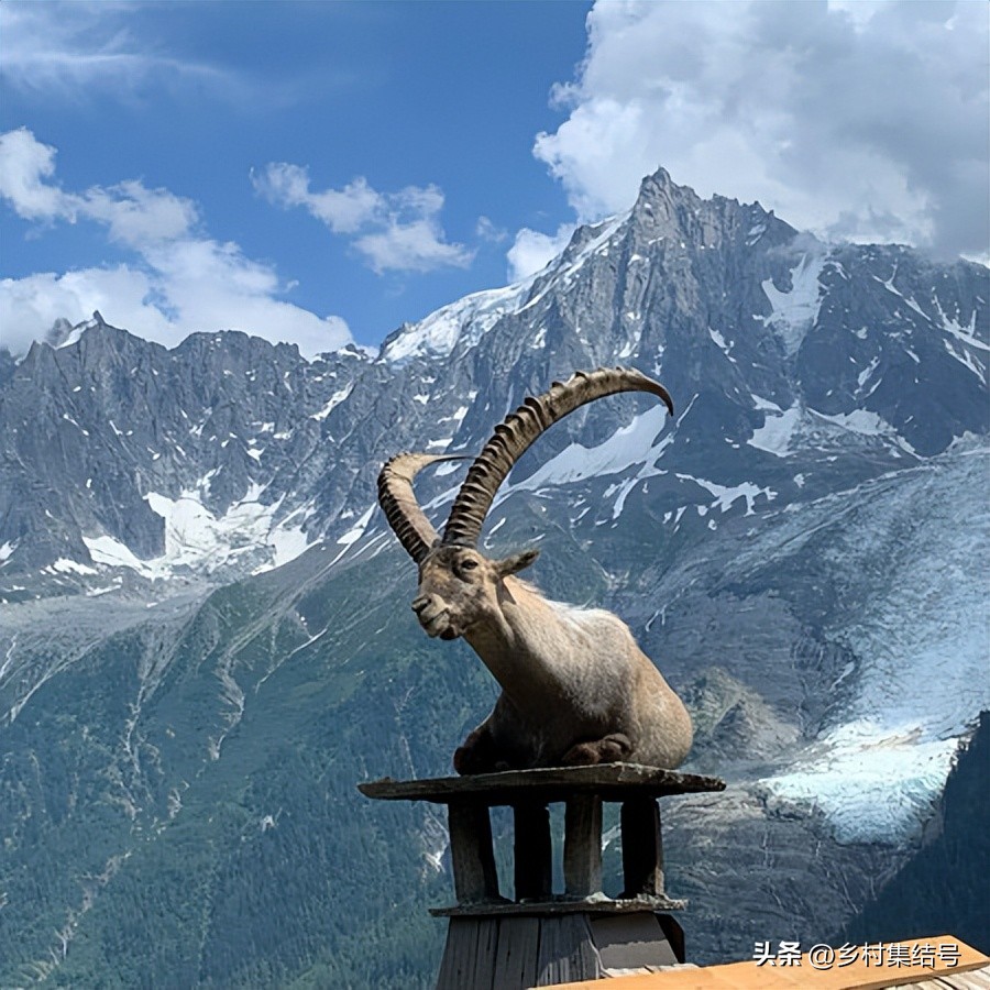 荷兰羊角村——荷兰的水上明珠，乡村旅游明星村