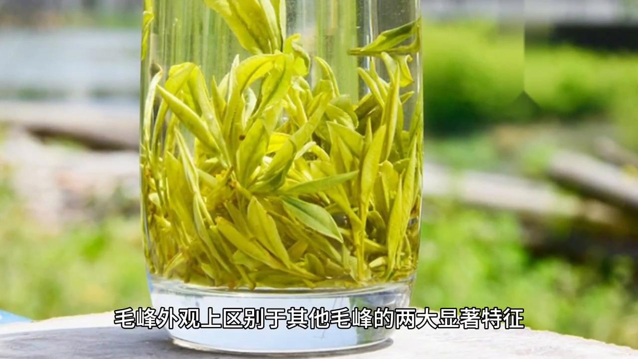 黄山毛峰属于名茶吗,黄山毛峰匠心名茶