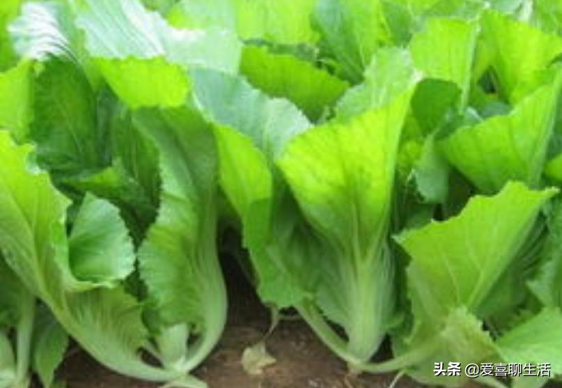 孕妇吃水果蔬菜还有必要补叶酸吗,孕妇吃哪些水果蔬菜含有叶酸